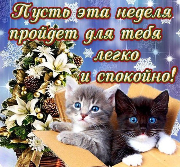 Открытки удачной недели