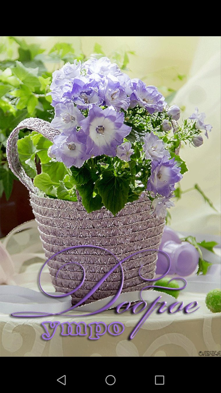 Красивые поздравления с добрым утром