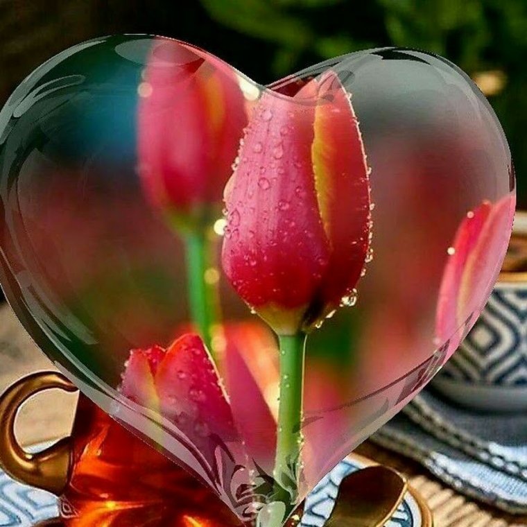 Пожелания доброго утра