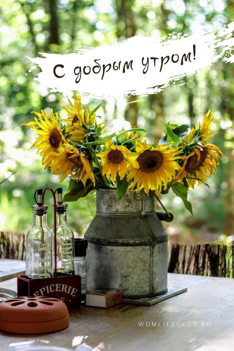 Открытки с добрым утром красивые