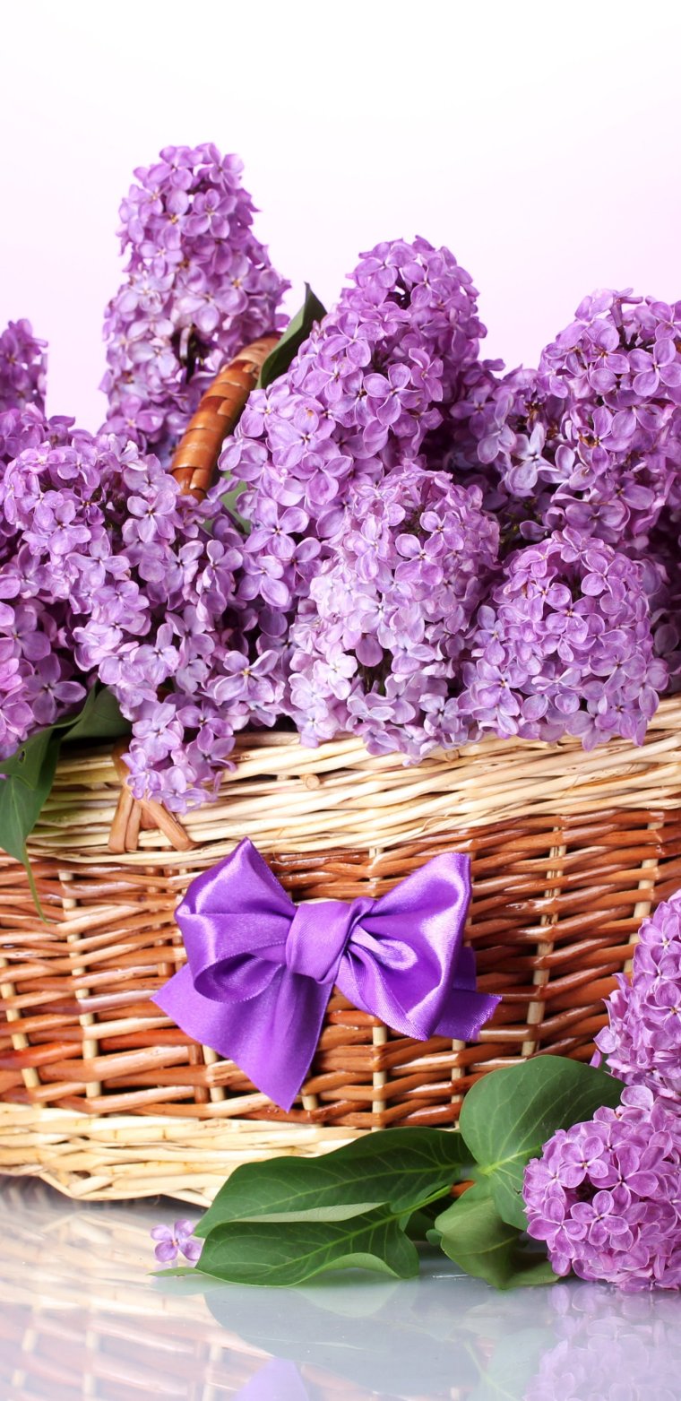 Доброе летнее утро