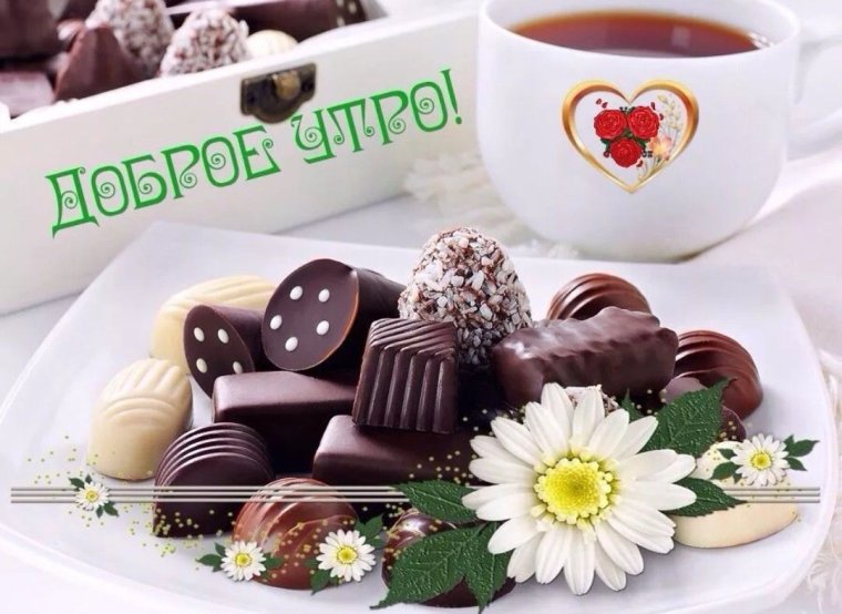 Доброе летнее утро