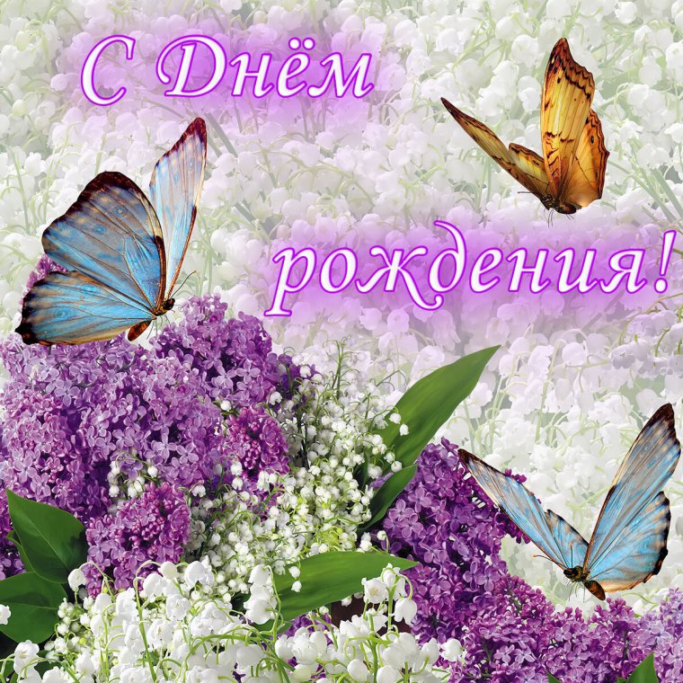 Открытки с днем рождения сирень