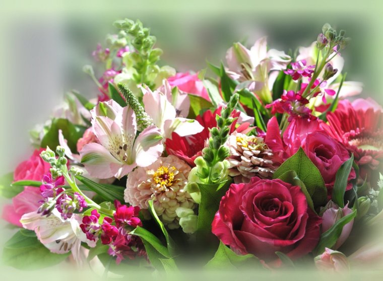 Поздравления с цветами