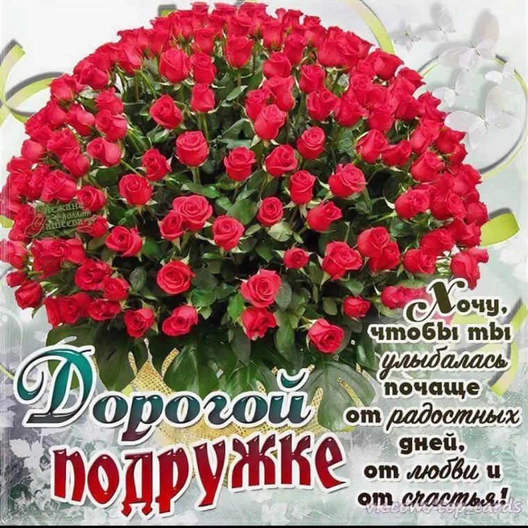 Поздравления с днём рождения подокге