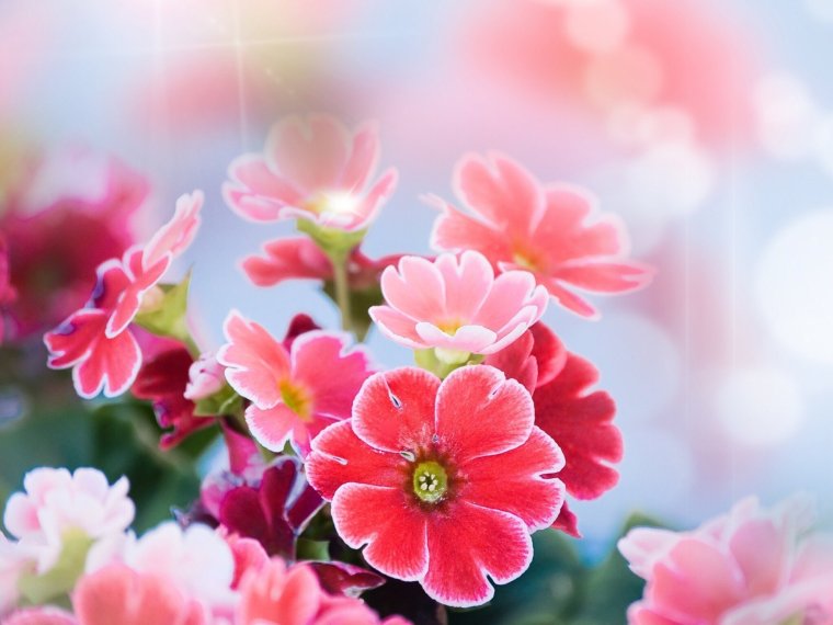 Поздравления с днём рождения подруге