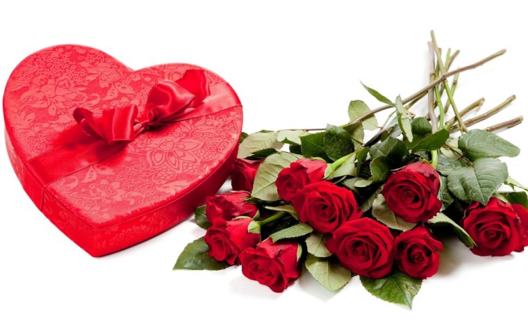 Поздравления с днём рождения подруге