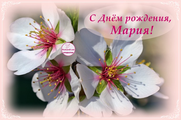 Поздравить Машу с днем рождения