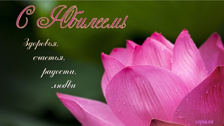 С юбилеем Яна картинки красивые с пожеланиями