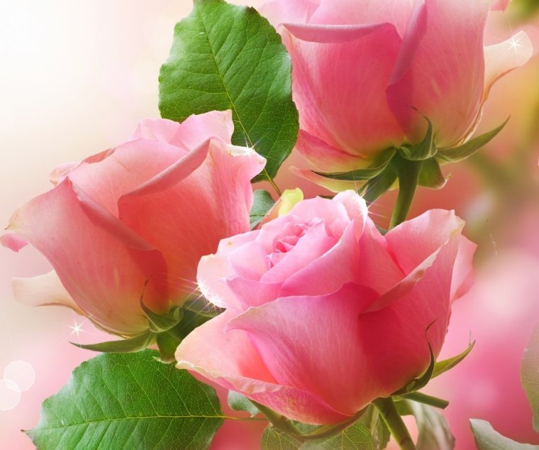 Открытки с днём рождения маме