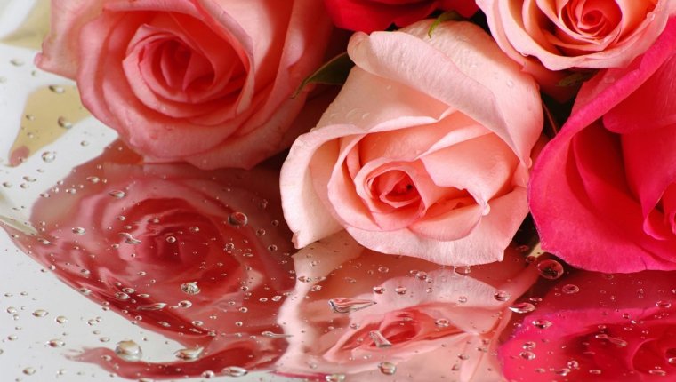 Маша с днём рождения открытки