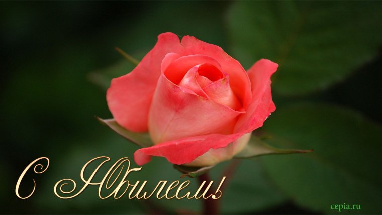 С юбилеем