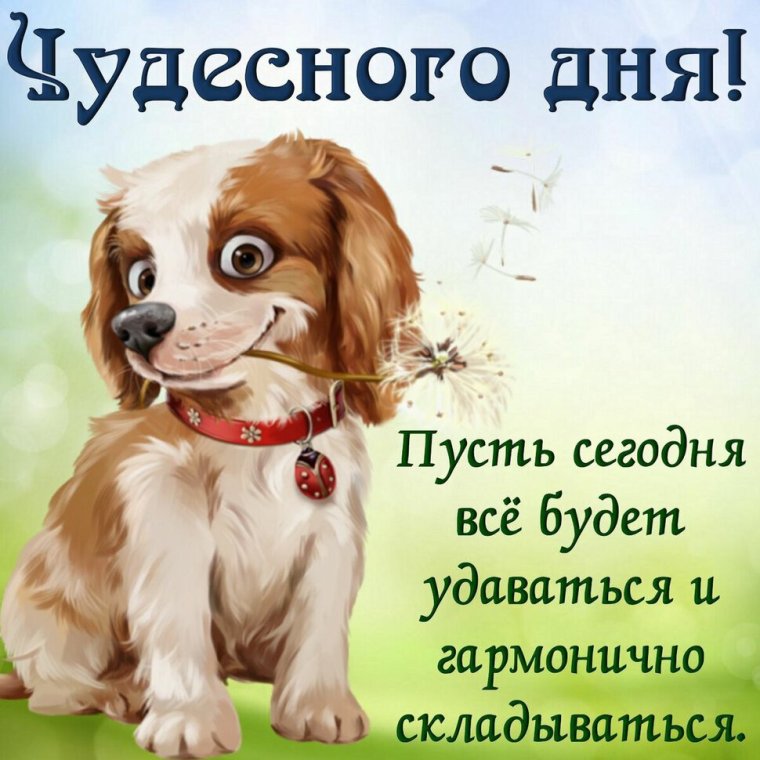 Хорошего дня открытки красивые