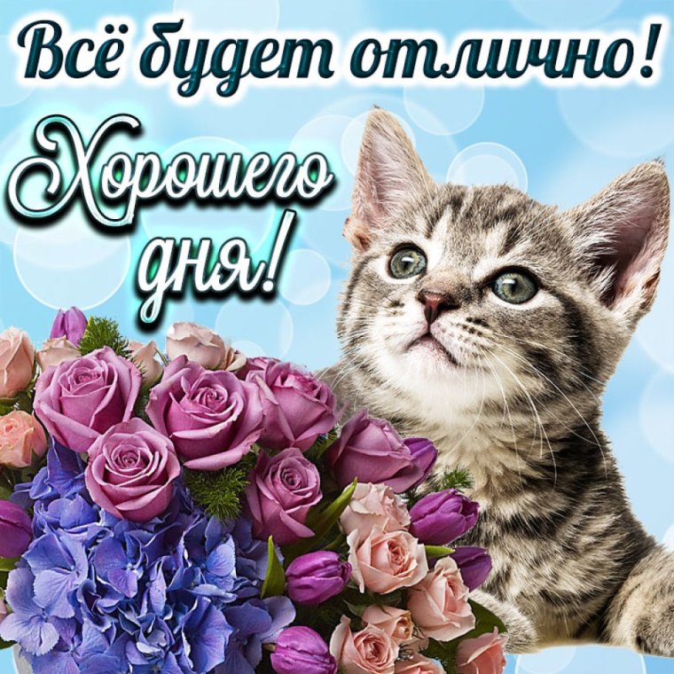 Открытки хорошего дня
