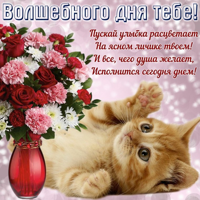 Поздравления с хорошим днем