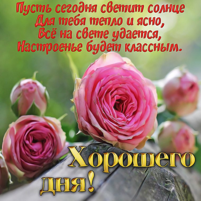 Поздравление с добрым днем