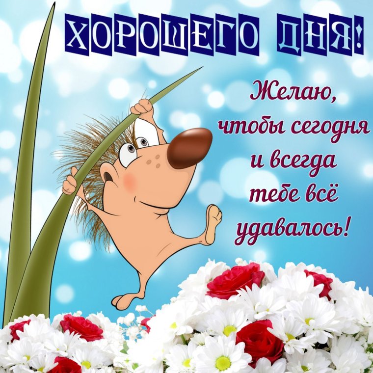 Добрые пожелания