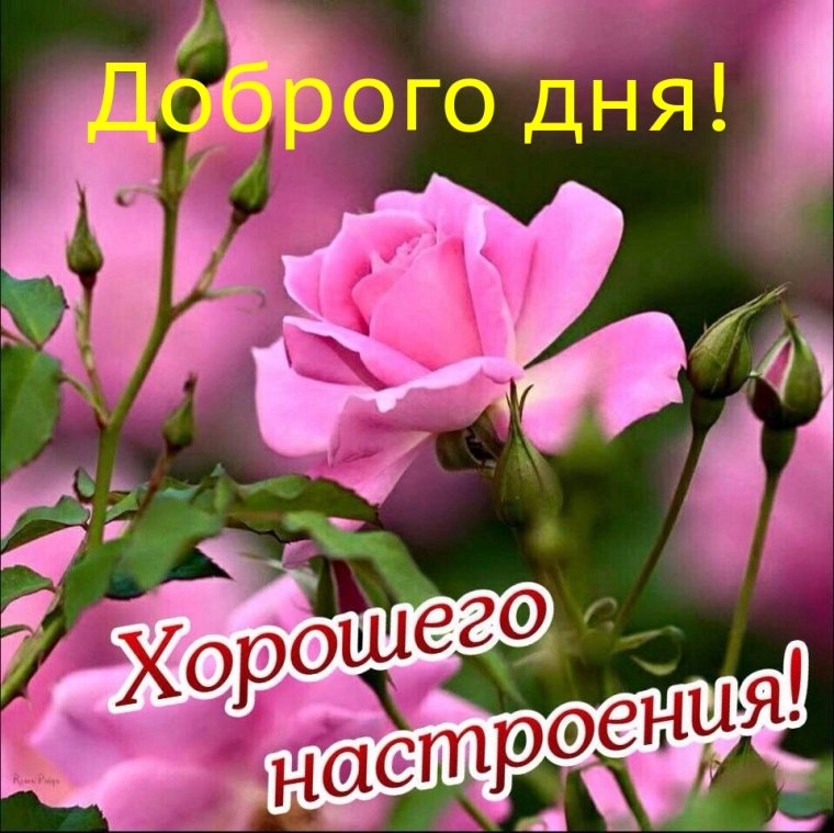 Хорошего дня и отличного настроения