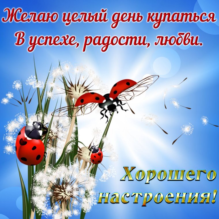 Хорошего дня и отличного настроения