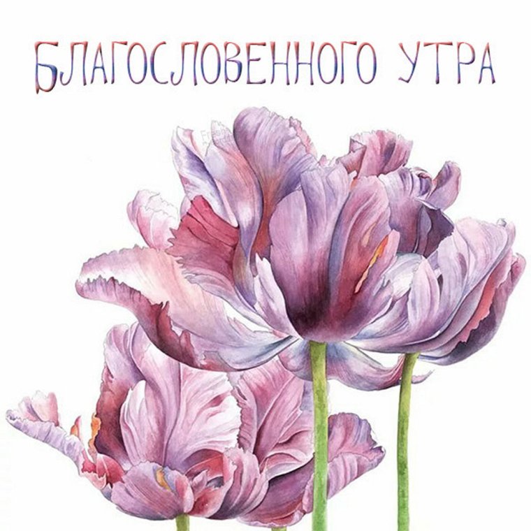 Христианские пожелания на каждый день