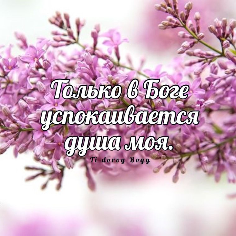 Доброе утро благословенного дня