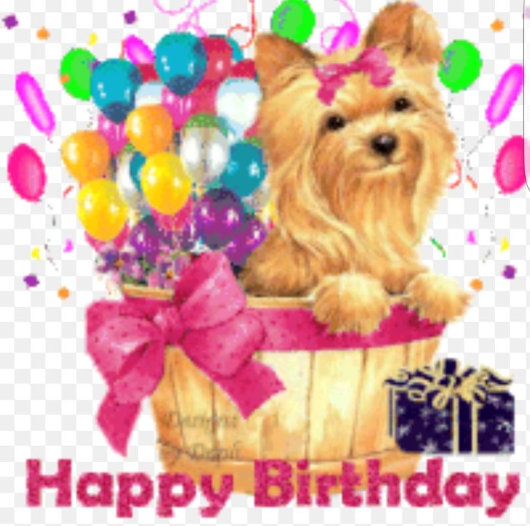 С днём рождения Дианочка 11 лет