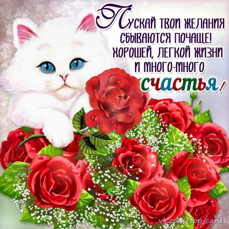 Поздравительная открытка