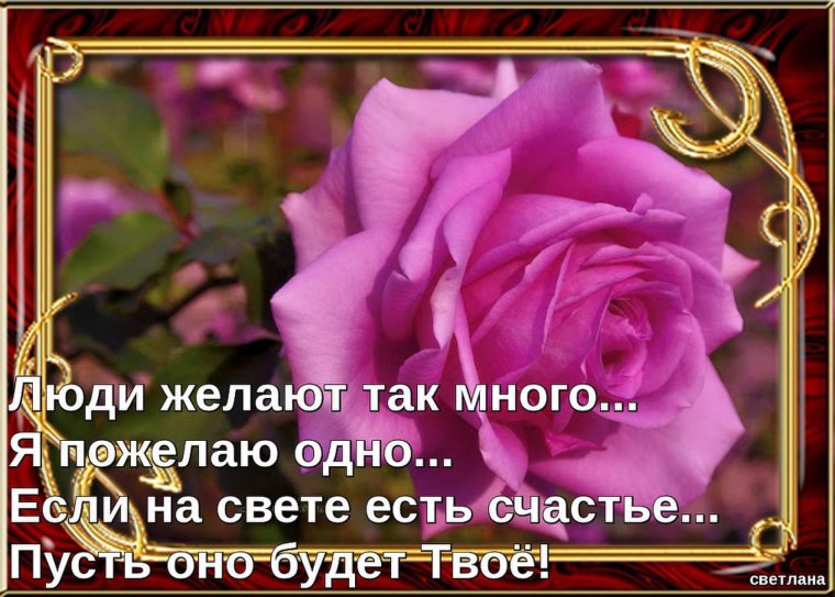 Букет цветов с пожеланиями