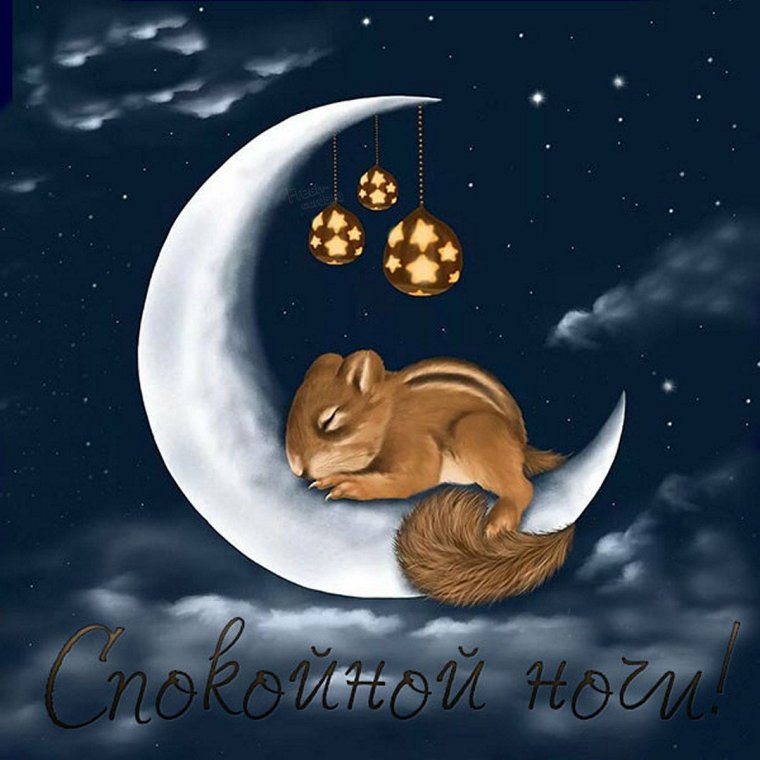Спокойной ночи сладких снов прикольные пожелания