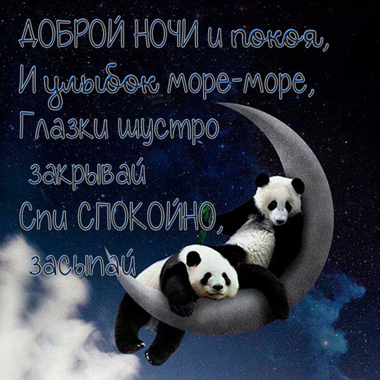 Спокойной ночи