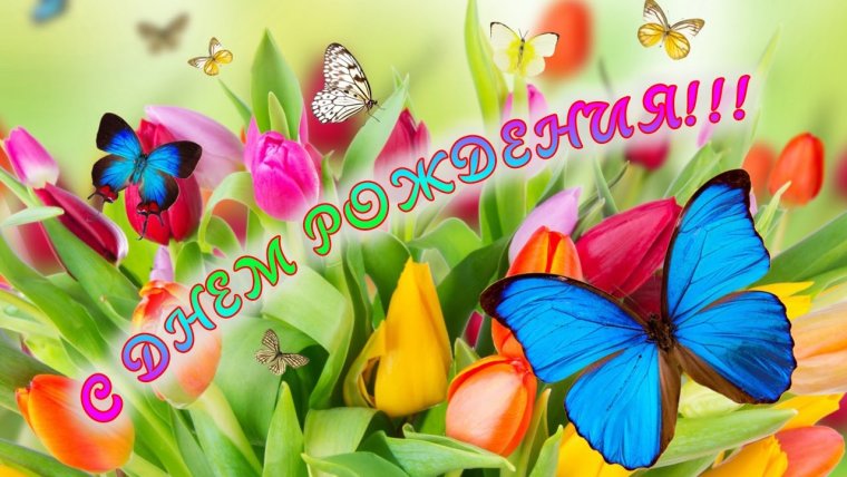 Феи иллюстратор Марина Федотова