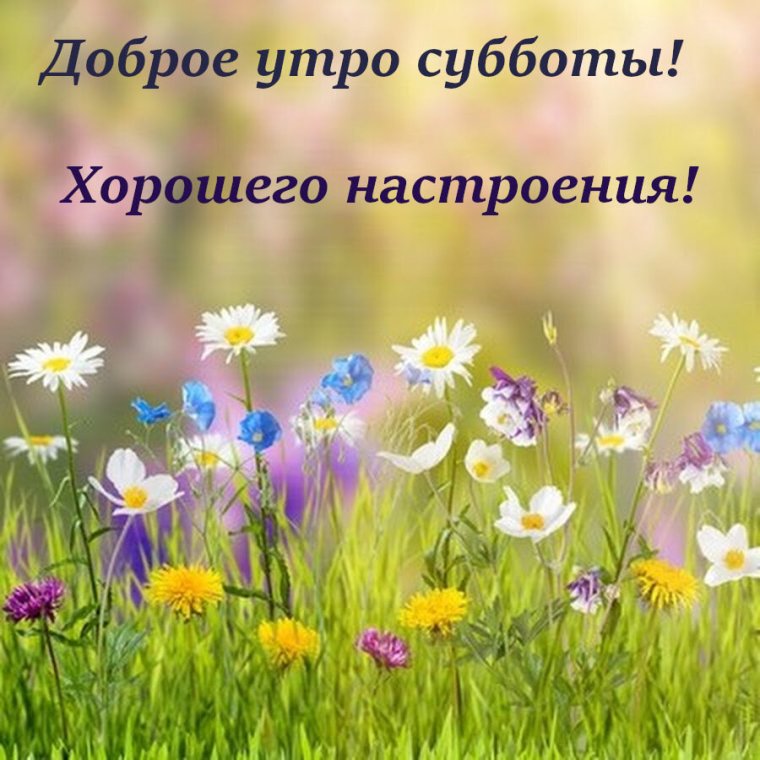 Открытки с добрым утром красивые прикольные