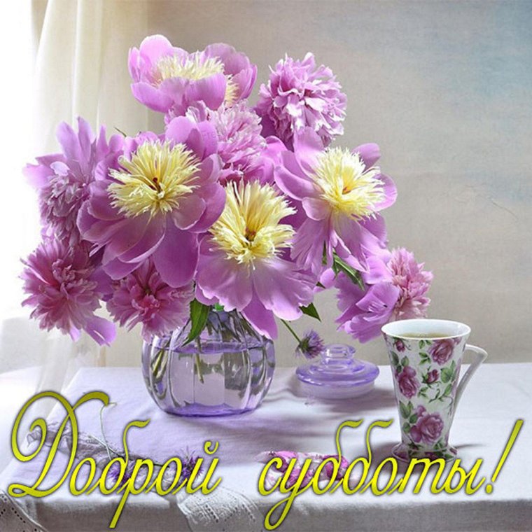 Суббота открытки красивые