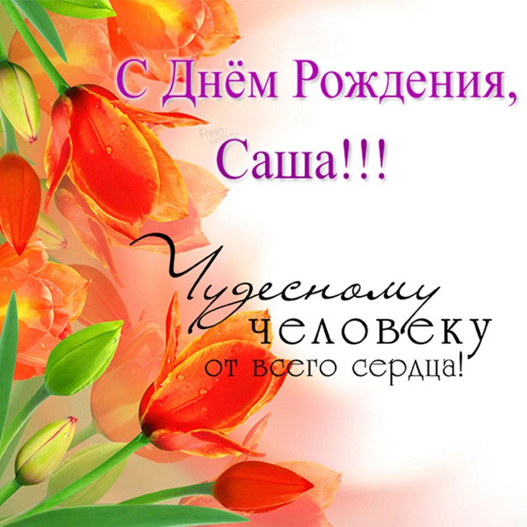 С днем рождения Александр Сергеевич