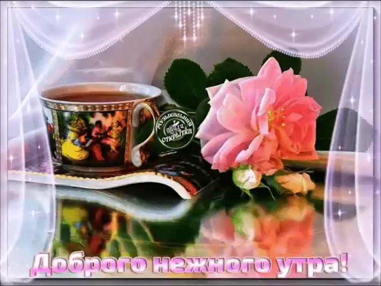 Открытки нежного утра и прекрасного дня