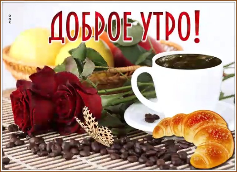 Всем красоткам доброе утро