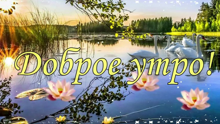 Пожелания с добрым утром с природой