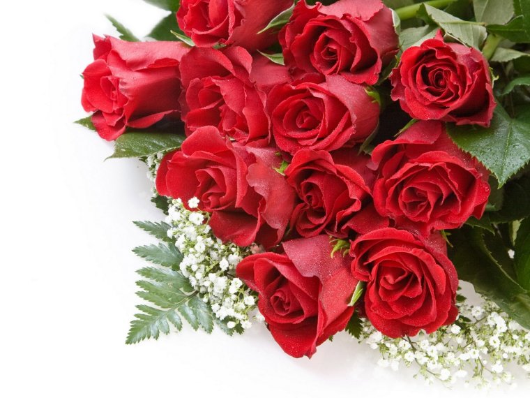 Поздравительная открытка