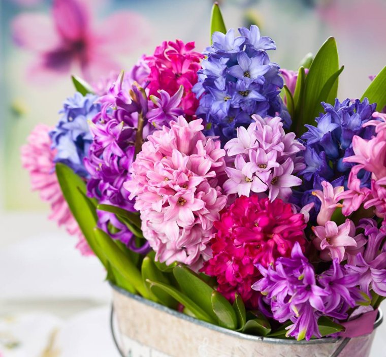 Поздравления с днём рождения