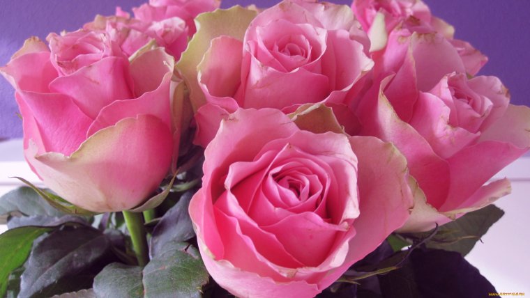 Поздравления с днём рождения Лиле