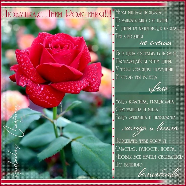 Поздравления с днём рождения Лизе