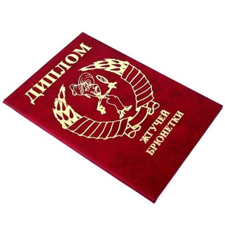 Диплом лучшего учителя