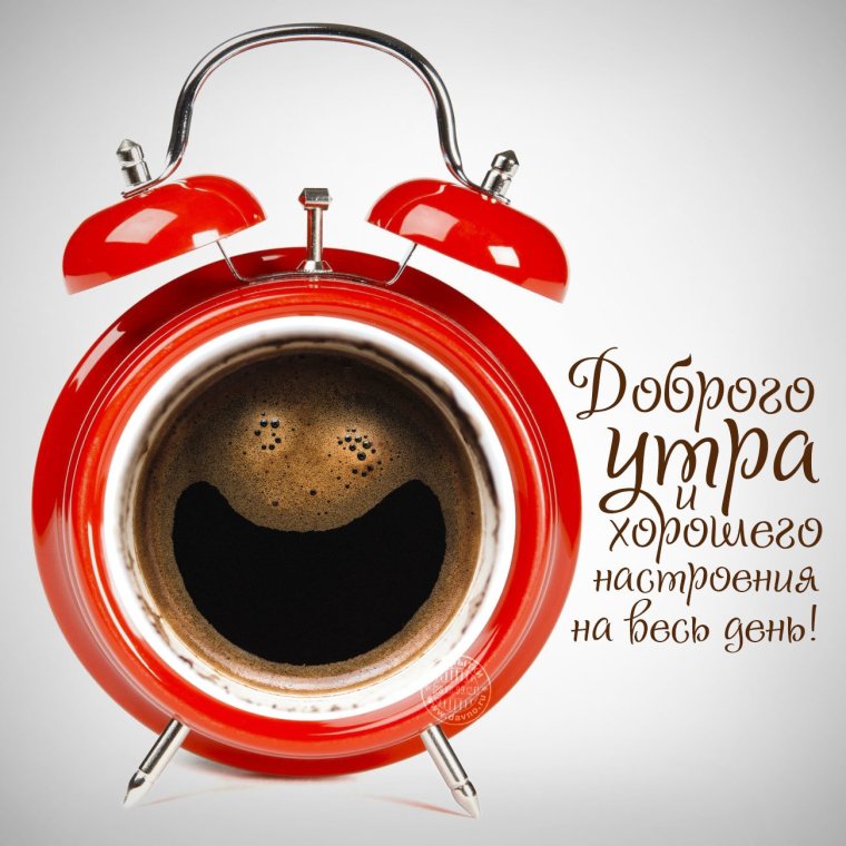 Открытки с добрым утром прикольные