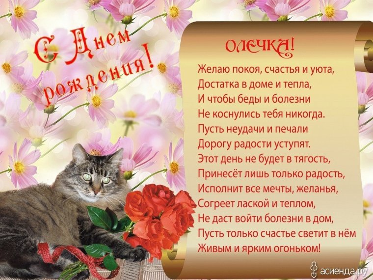 Поздравления с днём рождения Ольге