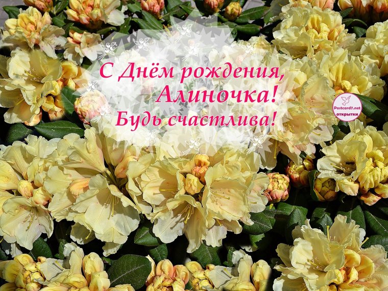 Алёна с днём рождения