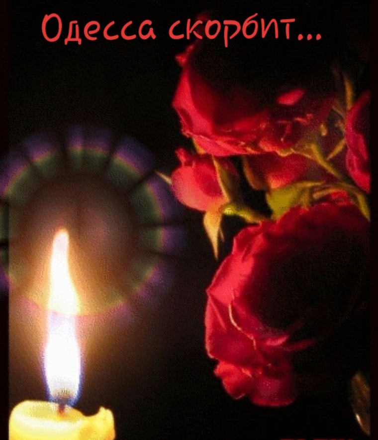 Помним любим скорбим