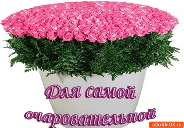 Цветы поздравления