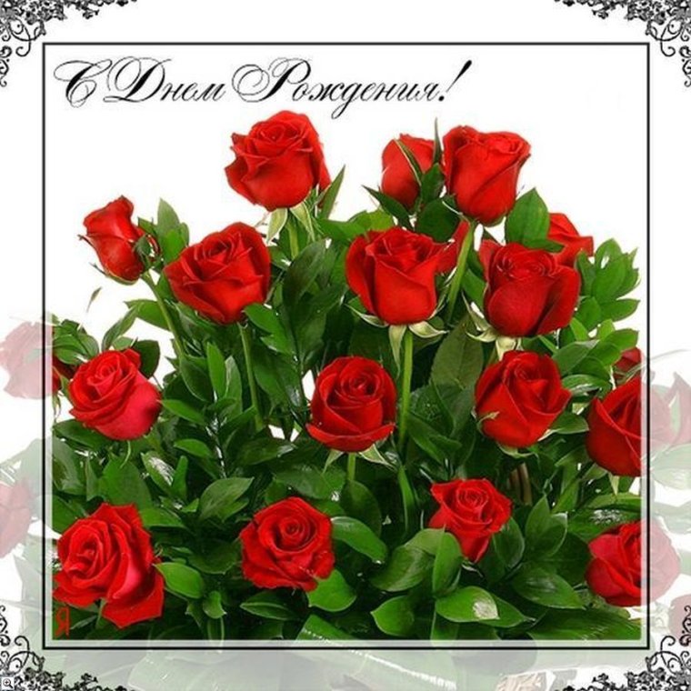 Поздравления с днем рождения открытки