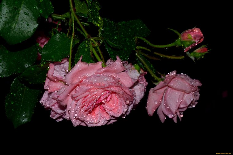 Мерцающие цветы для девушки