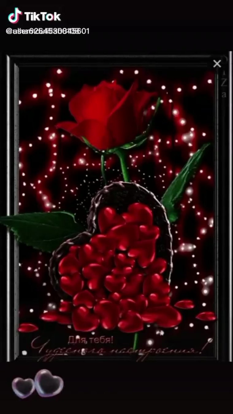 Красивые мигающие цветы